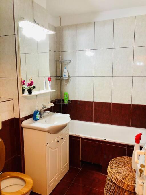 Joy City Stay Ferkel 7 Timişoara Exteriör bild